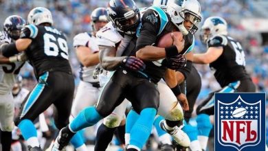 Highest attended sports leagues in the world