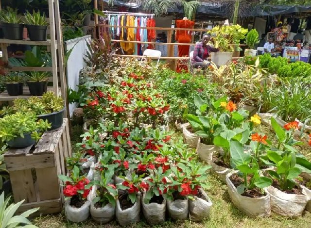 12th annual ghana garden and flower show set to promote