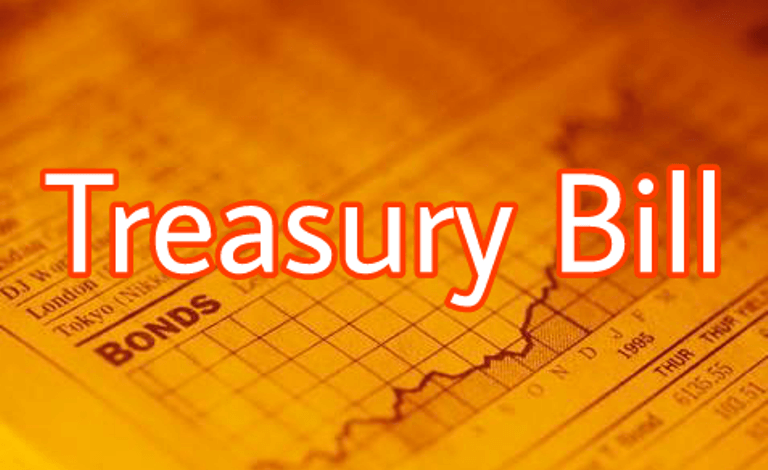 Our immediate priority remains issuing t bills to finance fiscal deficit