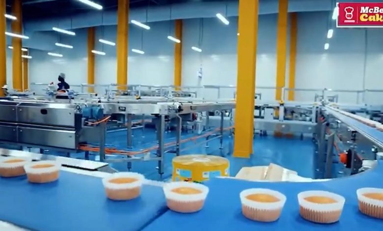 Twellium industries is creating job opportunities for ghanaians through mcberry