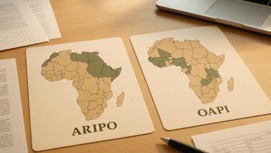 ARIPO vs. OAPI: Trademark Fee Comparison 7 Aripo vs oapi trademark fee comparison