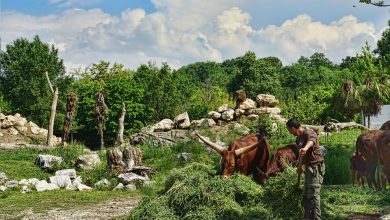 Nile Secures $11.3M to Power Agri-Tech Growth and Financial Access Across Southern Africa 9 Nile secures 113m to power agri tech growth and financial access