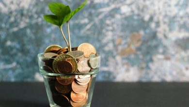 Palm raises seven figure pre seed round to revolutionize goal oriented savings in