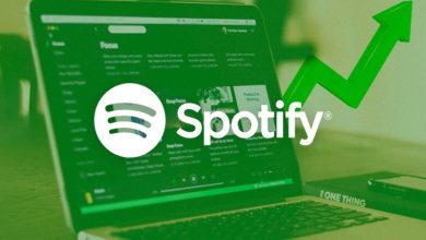 The role of spotifystorm in growing an artists career