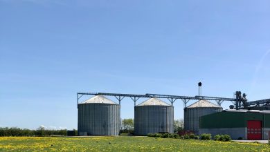 Cairo-Based Tagaddod Raises $26.3 Million in Series A to Revolutionize Biofuel Feedstock Supply Chain for Global Energy Transition 8 Cairo based tagaddod raises 263 million in series a to revolutionize