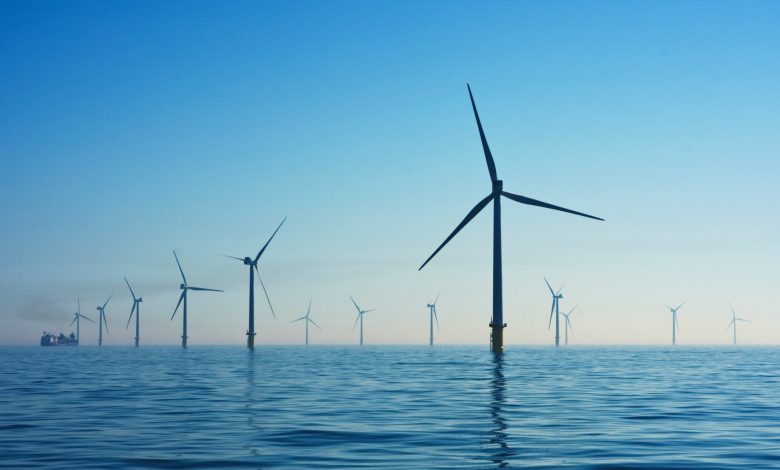 Cameroon establishes climate innovation hub to drive green development and