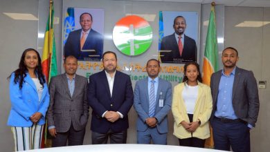 Ethiopian electric utility partners with wingu africa to modernize power