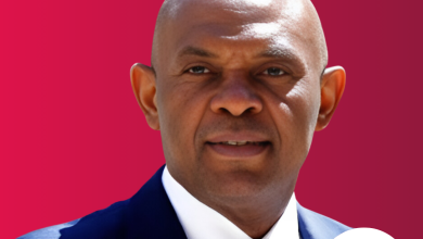 Tony elumelu foundation has deployed over 100 million to african