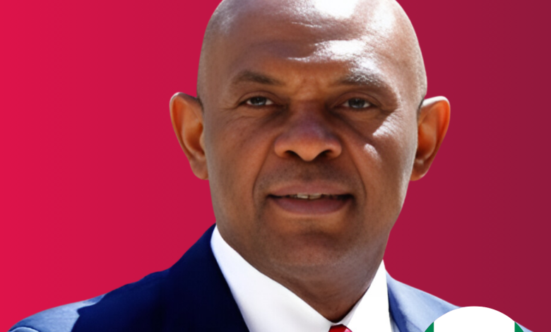 Tony elumelu foundation has deployed over 100 million to african