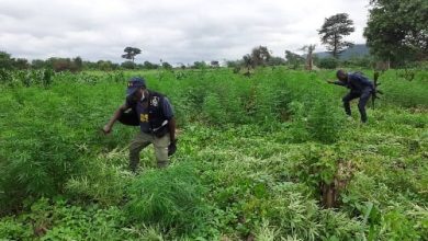 Ncc introduces eleven license categories for wee industry